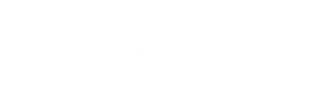 bodyandmind.pl