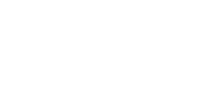 skandynawskieinspiracje.pl