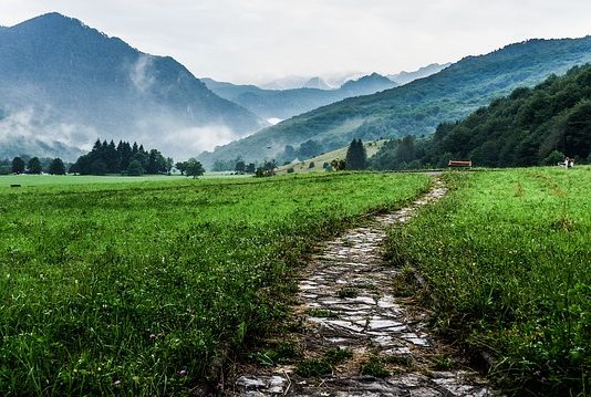 Puszcza Białowieska po sąsiedzku