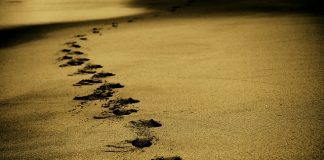 Dlaczego ludzie wyjeżdżają za granicę