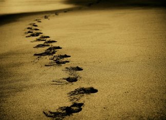 Dlaczego ludzie wyjeżdżają za granicę Dlaczego ludzie wyjeżdżają za granicę