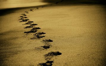 Dlaczego ludzie wyjeżdżają za granicę