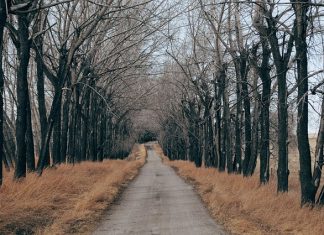 Górskie klimaty Górskie klimaty