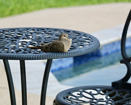 Ile lamp w basenie? Ile lamp w basenie?