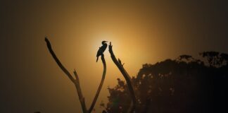 Ile kosztuje godzina pracy spawacza?