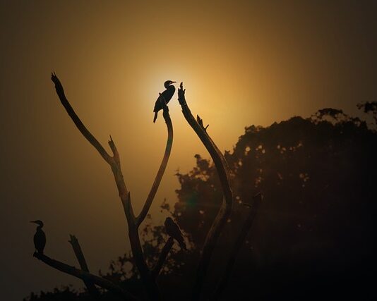 Ile kosztuje godzina pracy spawacza? Ile kosztuje godzina pracy spawacza?