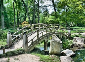 Czym oświetlić ogród?