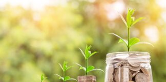 Jak przyspieszyć wzrost marihuany?