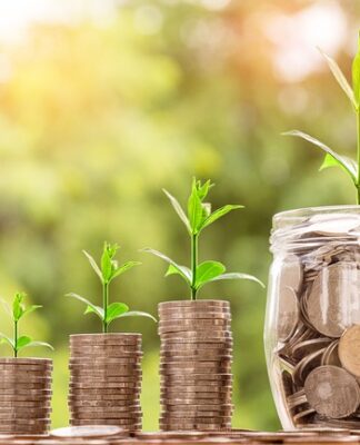 Jak przyspieszyć wzrost marihuany?