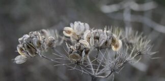 Jak zrobić stojak na patelnie?