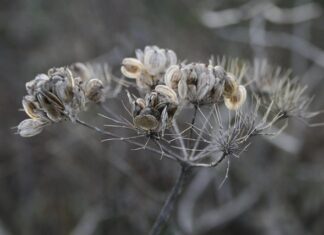 Jak zrobić stojak na patelnie?