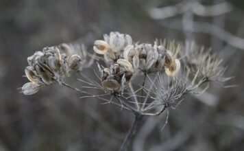 Jak zrobić stojak na patelnie?