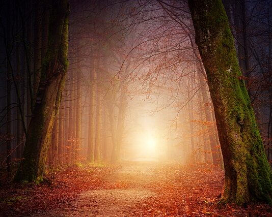 Jakie oświetlenie pod szafkami w kuchni?