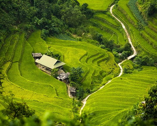 Jaka najlepsza izolacja termiczna? Jaka najlepsza izolacja termiczna?