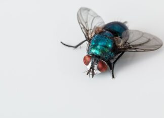 Jak używać ścierka do okien Vileda? Jak używać ścierka do okien Vileda?