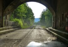 Jak sadzić Rogatka w oczku wodnym?