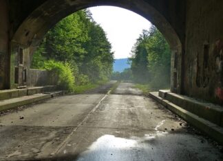 Jak sadzić Rogatka w oczku wodnym?