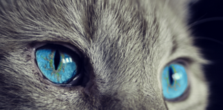 Jak zorganizować domowy warsztat?