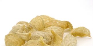 Co lepsze kolagen czy żelatyna?