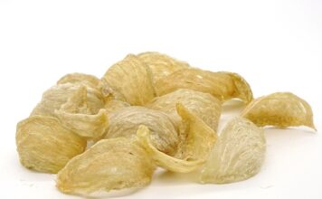 Co lepsze kolagen czy żelatyna?