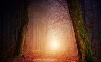 Co ile metrów oświetlenie w podbitce? Co ile metrów oświetlenie w podbitce?