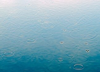 Jakie IP na deszcz? Jakie IP na deszcz?