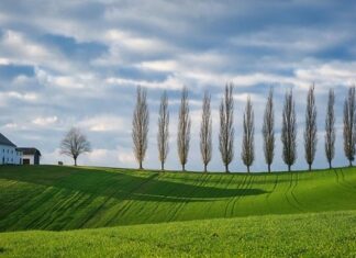 Co oznaczają kolory opasek na rękę? Co oznaczają kolory opasek na rękę?
