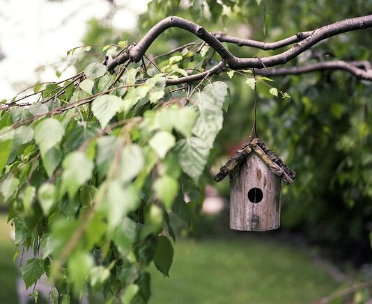 Jak palić miałem w piecu z podajnikiem?