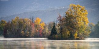 Jakie otwornice do gresu?