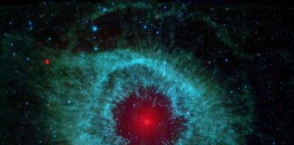 Gdzie można kupić ostrzałkę do noży?