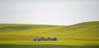 Jakie lampy do stodoły?