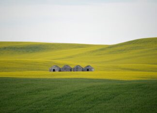 Jakie lampy do stodoły? Jakie lampy do stodoły?