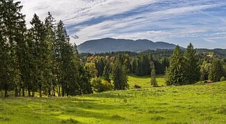 Jaki olej na przebarwienia?