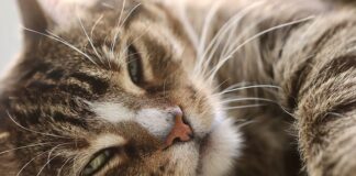 Jak zrobić domowy warsztat?