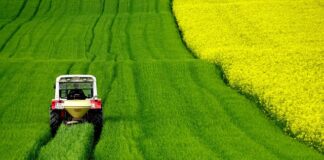 Jaki ciągnik na 15 ha?