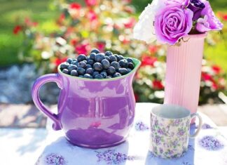 Jak zakwasić wodę do podlewania borówki?