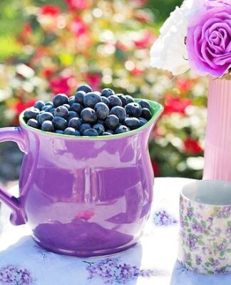 Jak zakwasić wodę do podlewania borówki?