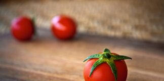 Czy pomidor lubi słońce?