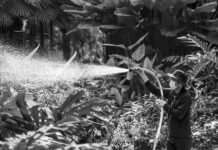 Jaki opryskiwacz do sądu?