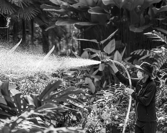 Jaki opryskiwacz do sądu?