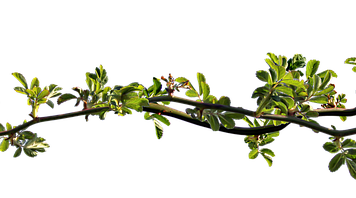 Jaki olejek na zatkany nos u dziecka?