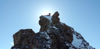 Kto zakłada czubek na choinkę?