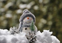 Jak ozdobić doniczki ceramiczne?