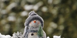 Jak ozdobić doniczki ceramiczne?