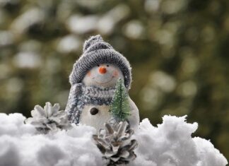 Jak ozdobić doniczki ceramiczne? Jak ozdobić doniczki ceramiczne?