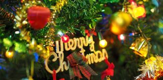 Kiedy ubrać choinkę w domu?