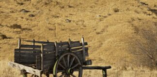 Ile wlać uszczelniacza do chłodnicy?