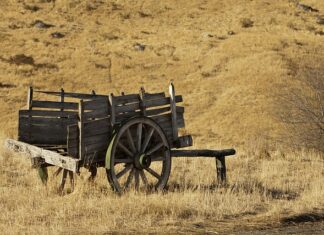 Ile wlać uszczelniacza do chłodnicy?