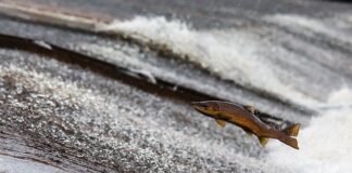 Czy przedłużacz pobiera prąd?