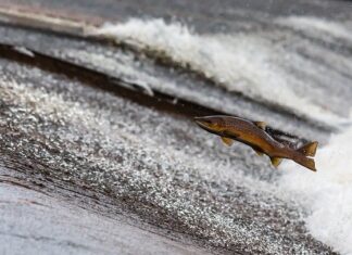 Czy przedłużacz pobiera prąd?